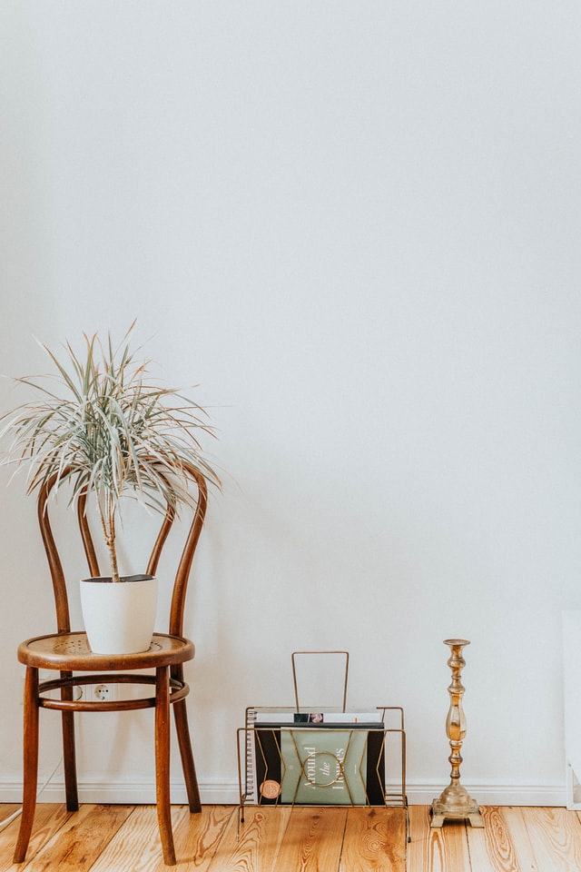 minimalist-living-room-add-greenery