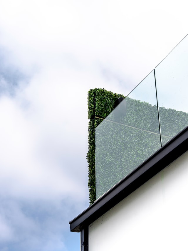 modern-house-glass-walls-greenery