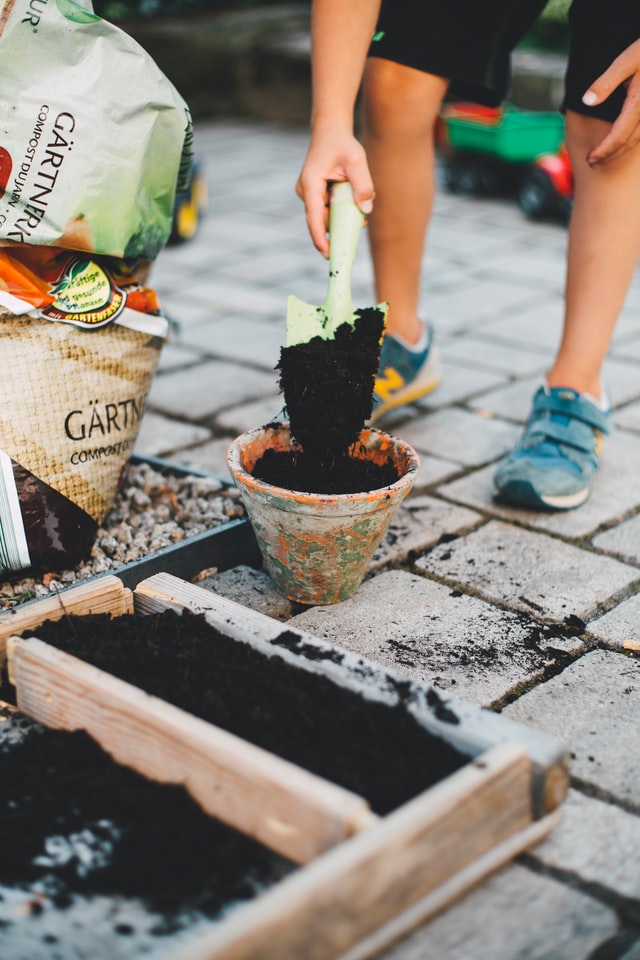 front-garden-ideas-grow-veggies