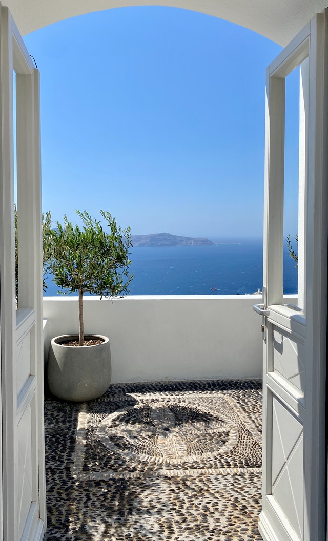 single tree on balcony