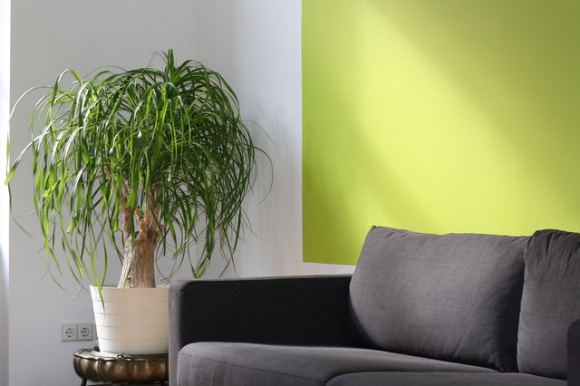 living-room-paint-colours-lime-green