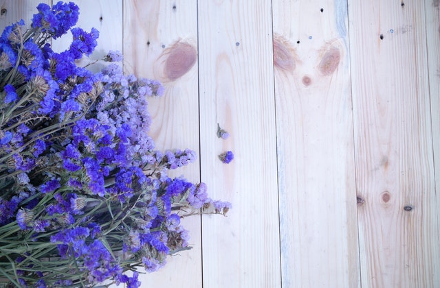 front-garden-ideas-lavender