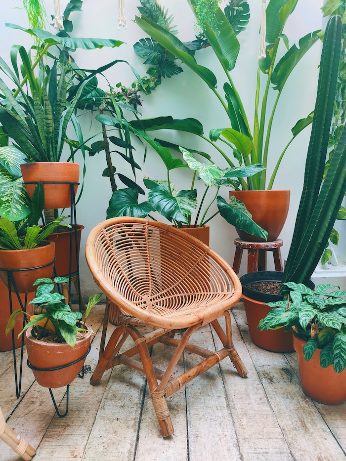 potted plants on balcony