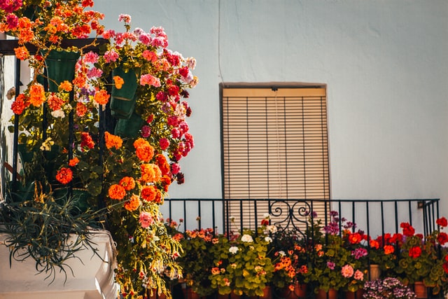 balcony ideas with flowers