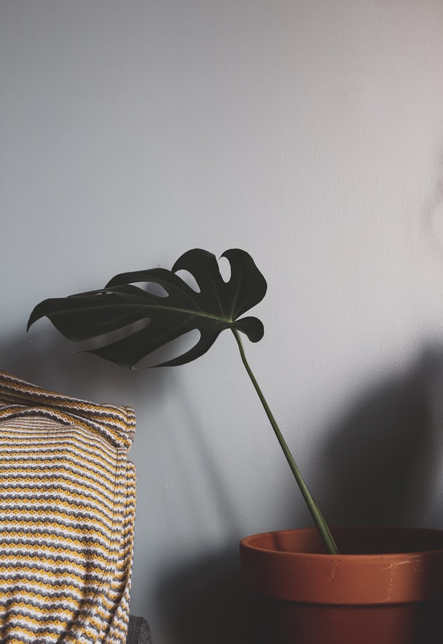 grey-living-room-calm