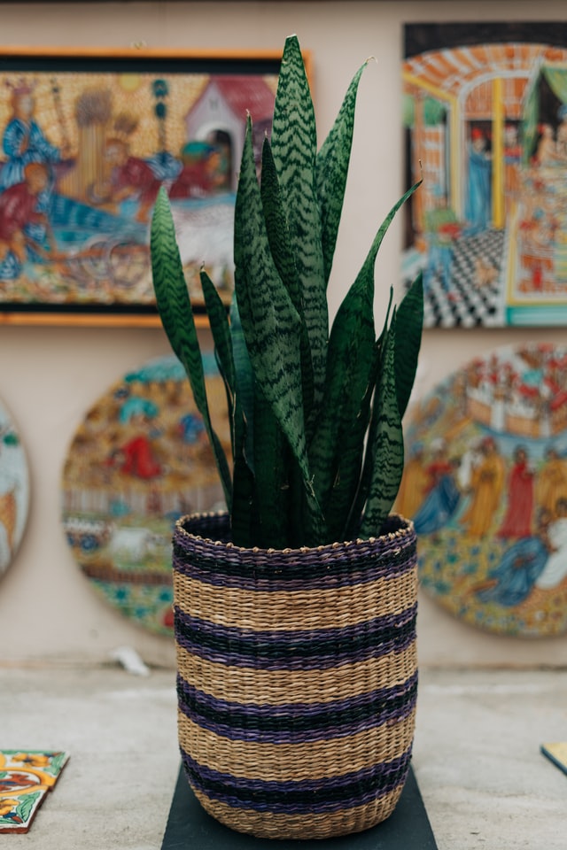 Boho-living-room-decor