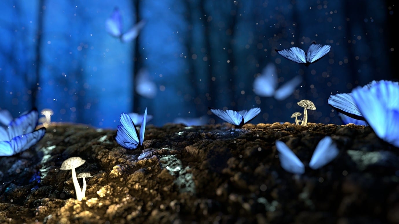 fairy-garden-butterflies