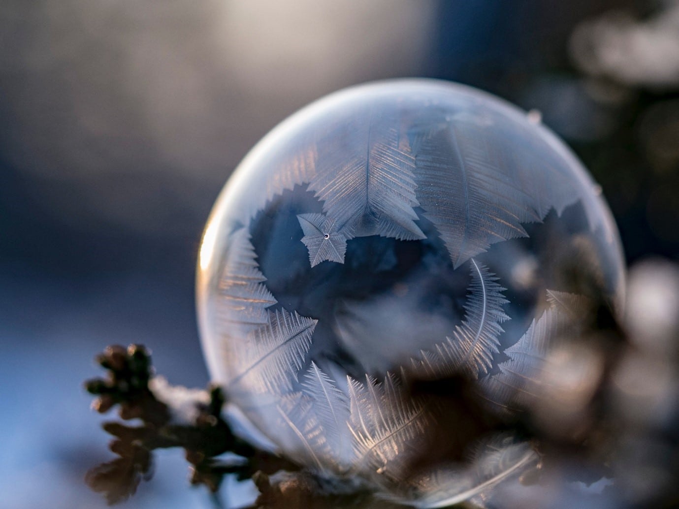 fairy-garden-gazing-ball