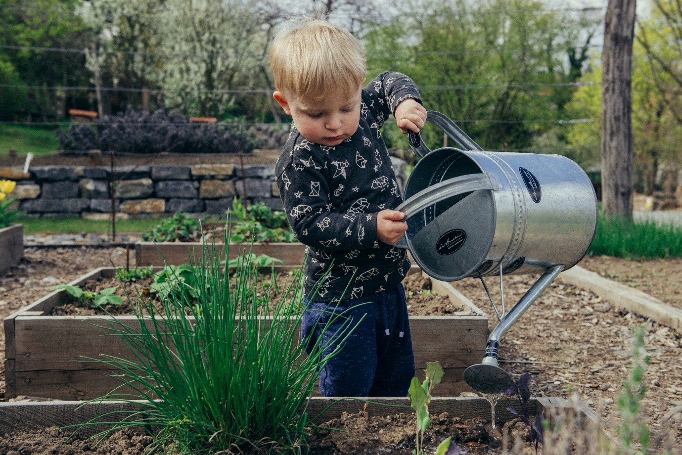 garden-bed-ideas-boy-with-watering-can