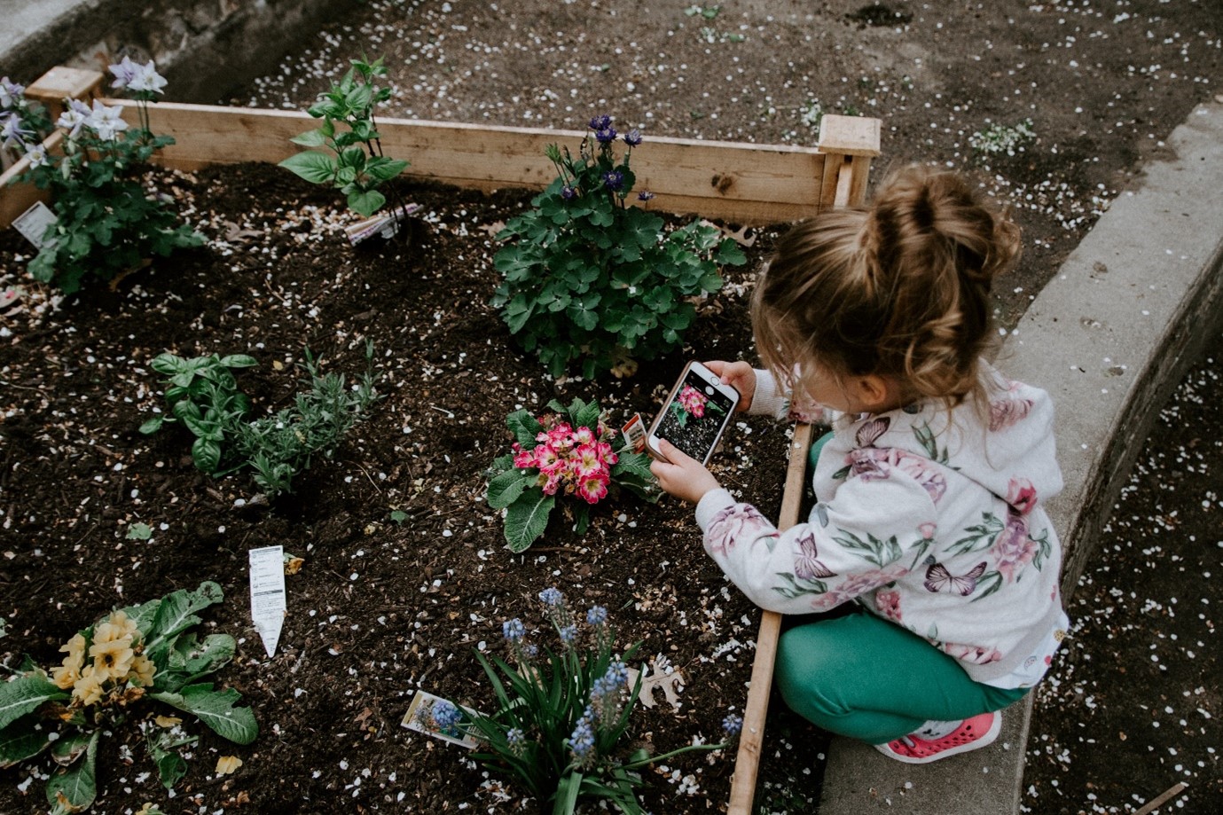 garden-bed-ideas-little-girl-gardening