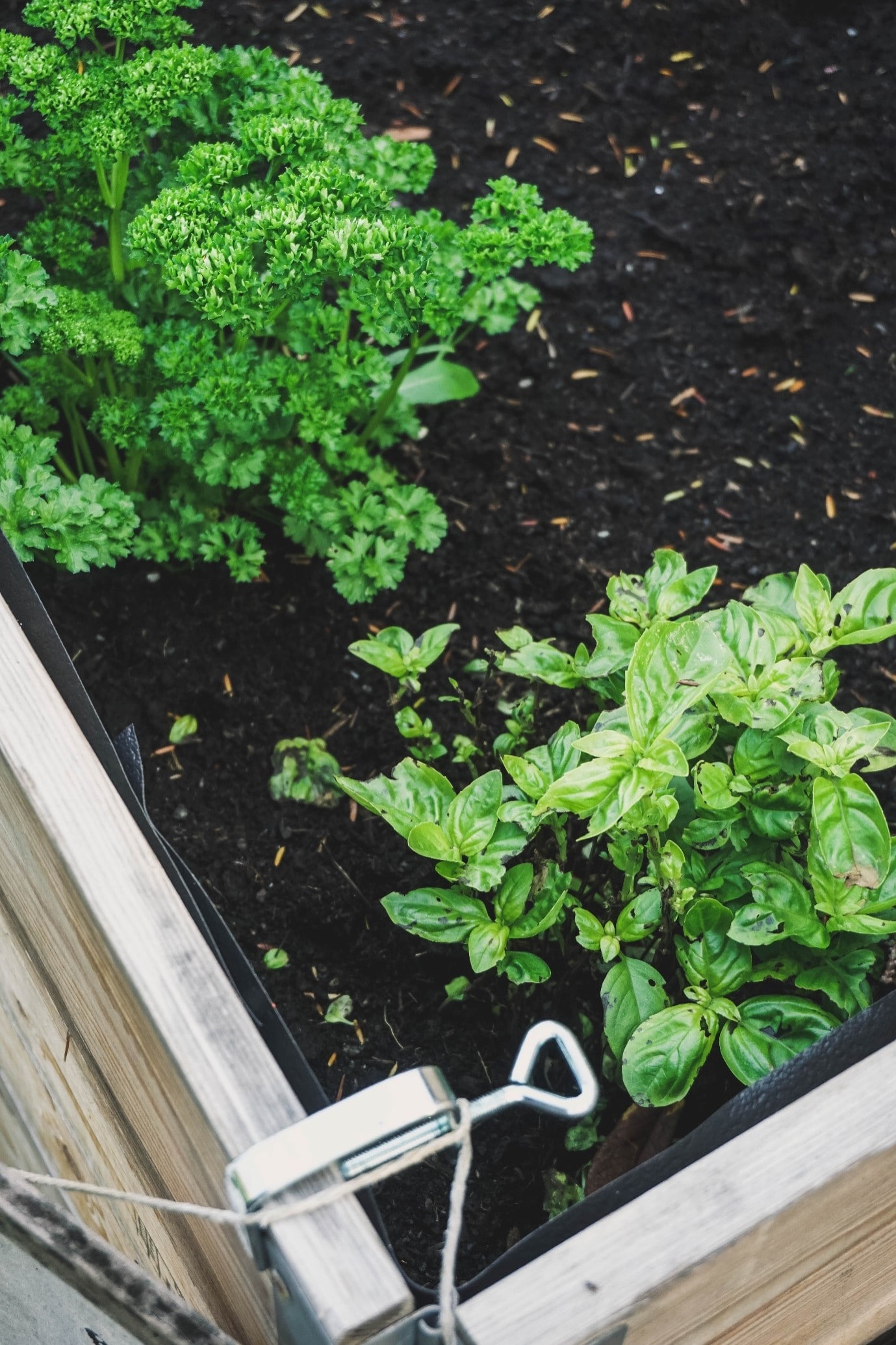 garden-bed-ideas-raised-bed-garden