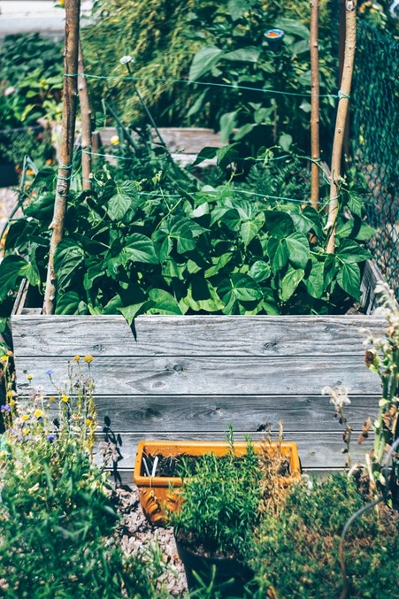 garden-bed-ideas-rustic