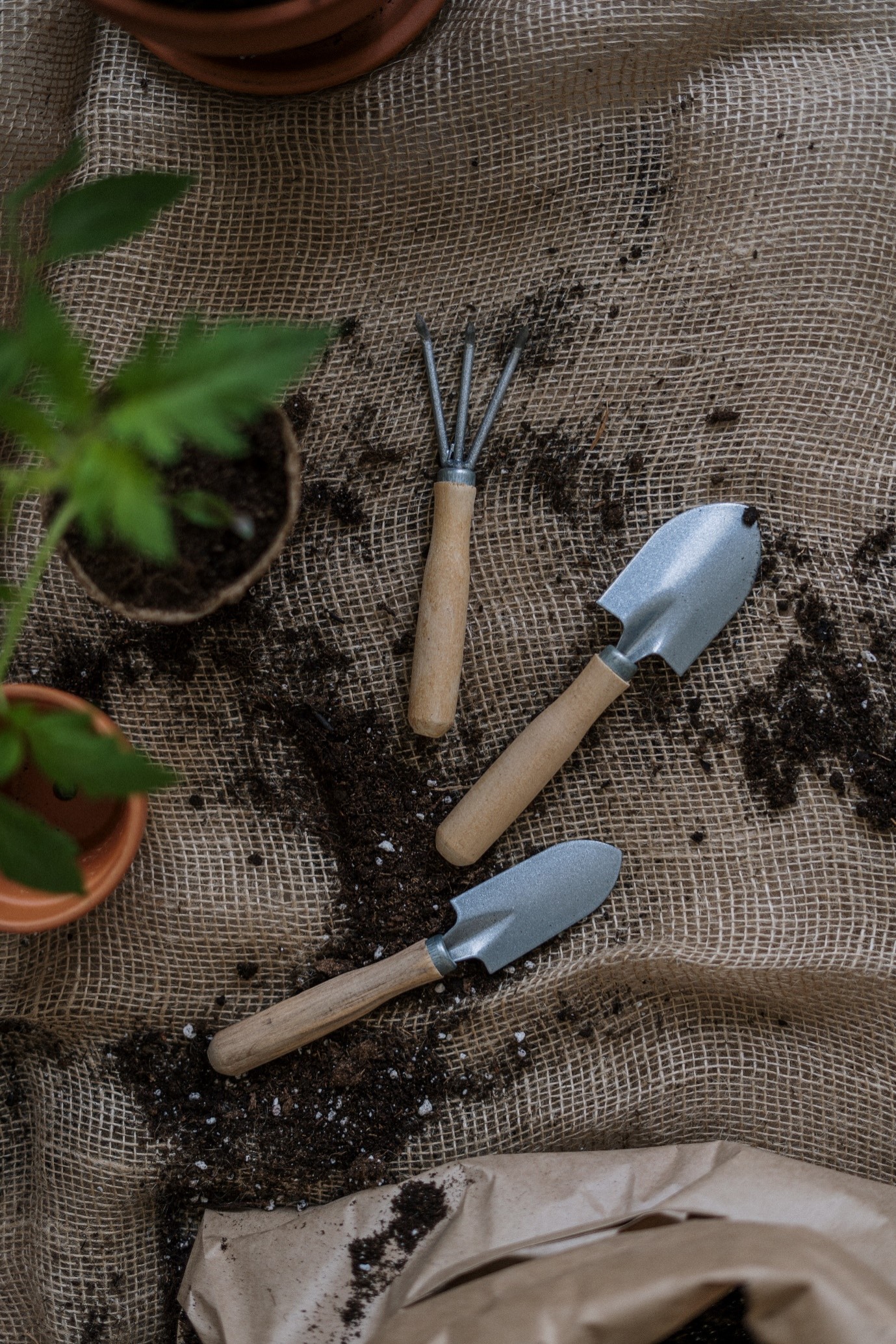 garden-bed-ideas-tools