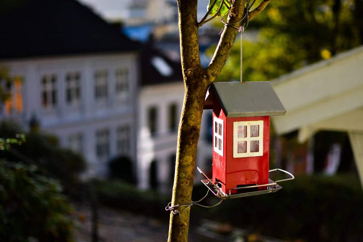 mini bird house fairy garden