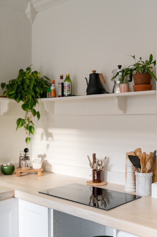 kitchen-renovation-greenery