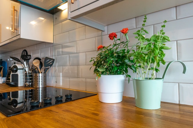 kitchen-renovation-greenery