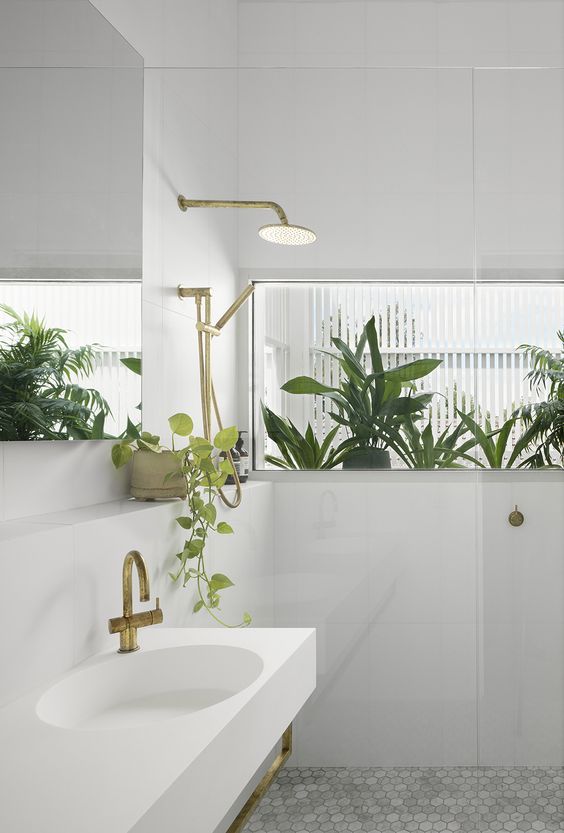 35 Bathroom Plants For You Indoor And Hanging Plants