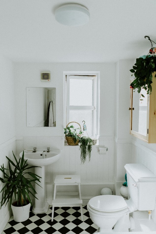 bathroom-plants-different-levels