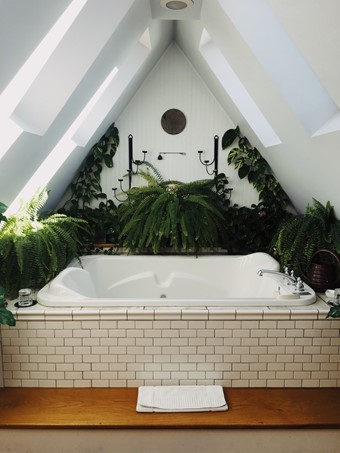bathroom-plants-ferns-tub