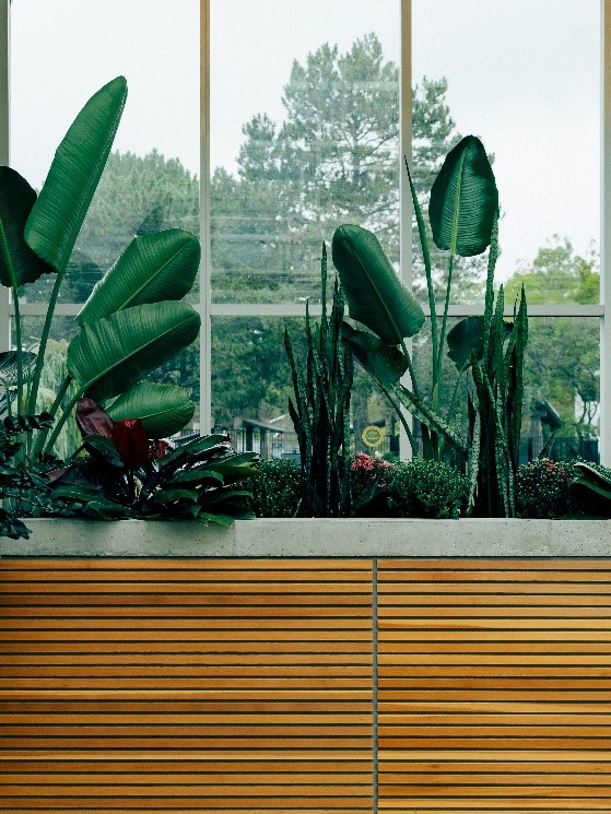 bathroom-plants-green-view