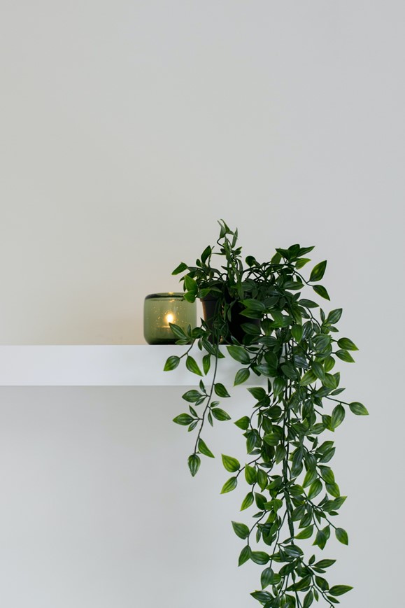 bathroom-plants-on-shelf