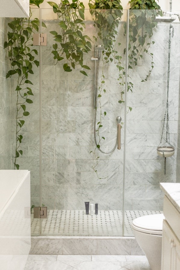 30 Bathroom Plants For You Indoor, Shelves Suspended From Ceiling Bathroom