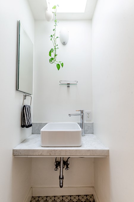 bathroom-plants-single-plant