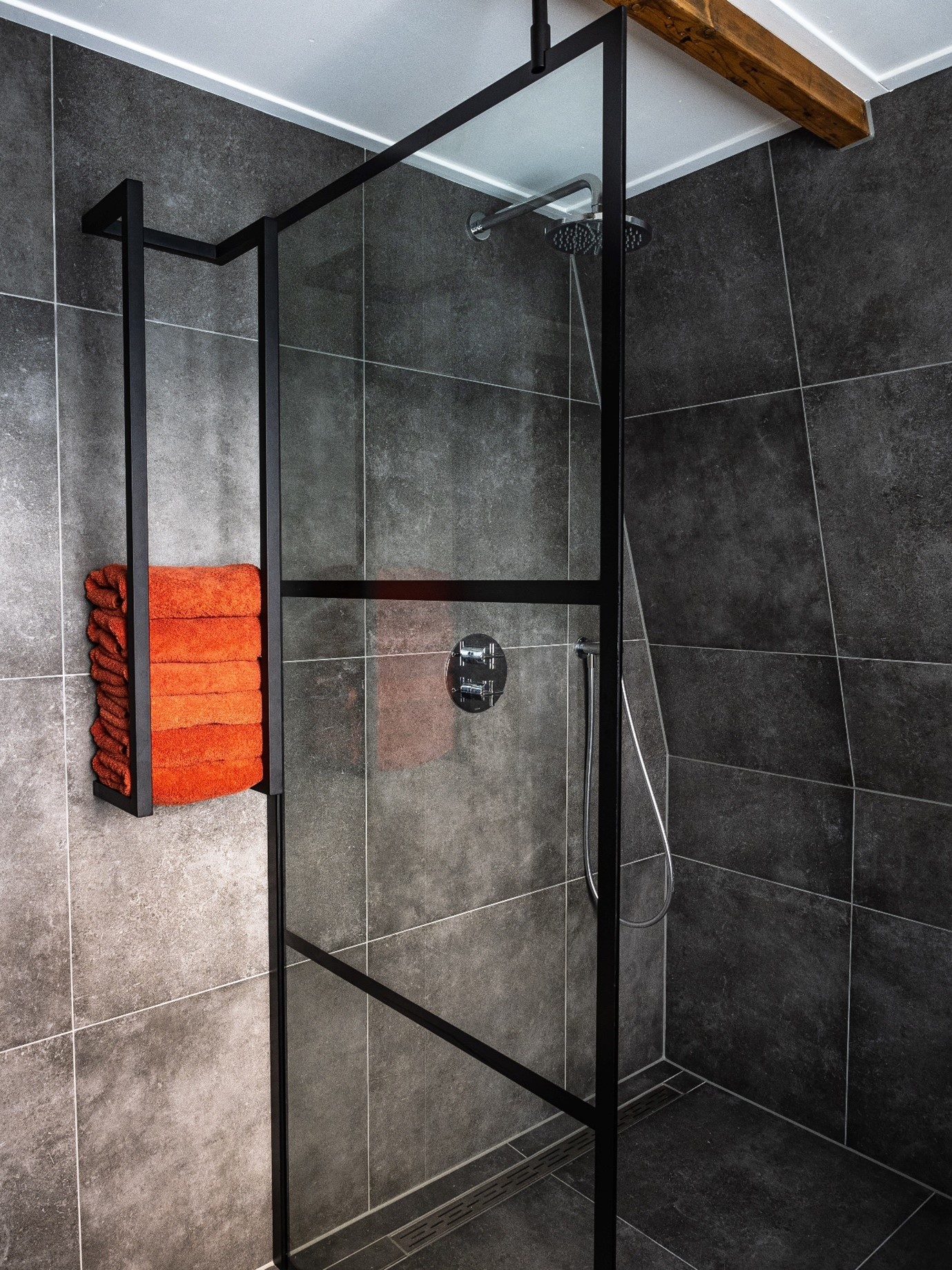 bathroom-shower-crittall