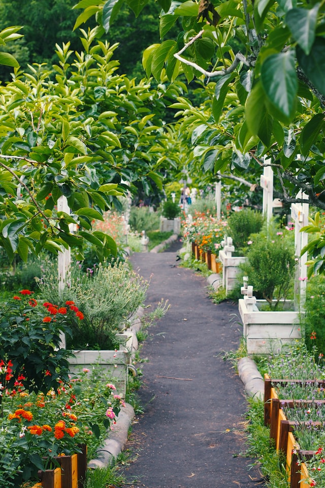 garden-edging-ideas-garden-beds
