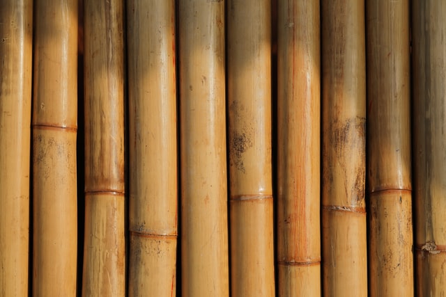 garden-edging-ideas-bamboo