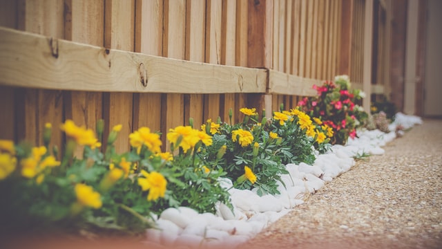 50 Great garden edging ideas for your backyard