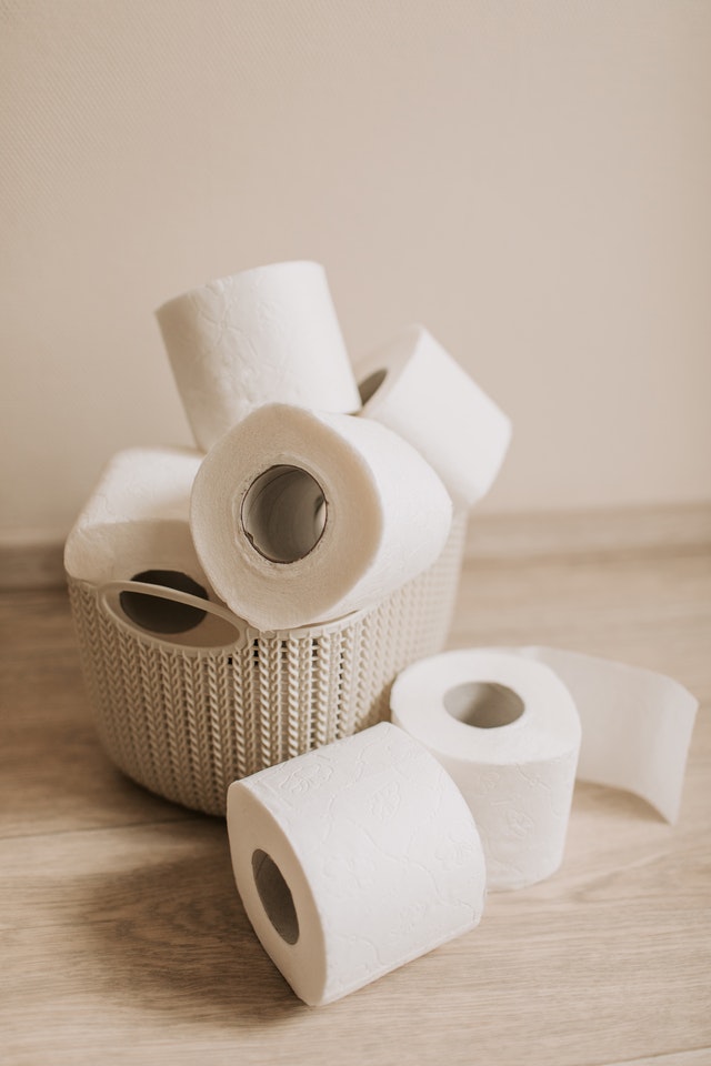 bathroon-storage-toilet-paper