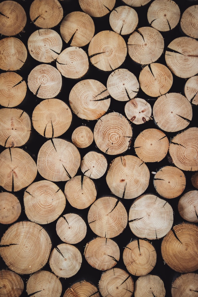 garden-edging-ideas-wooden-logs