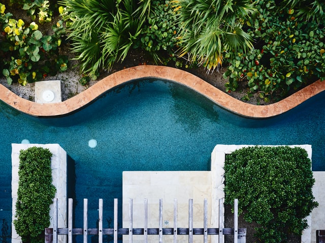 jungle pool landscaping