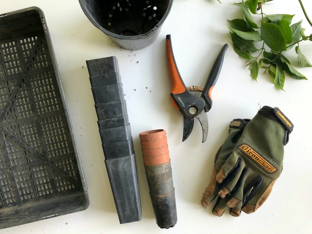 vegetable-garden-tools
