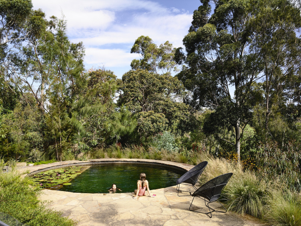 fairfield poolscape surrounded by native garden