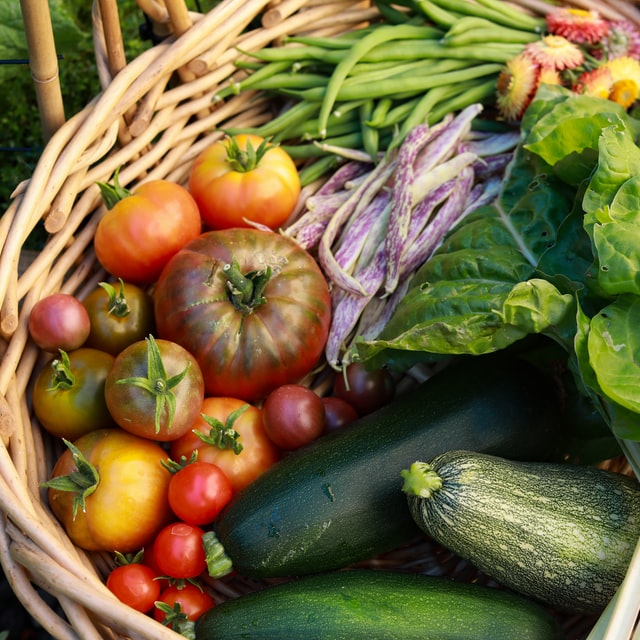 vegetable-garden-main