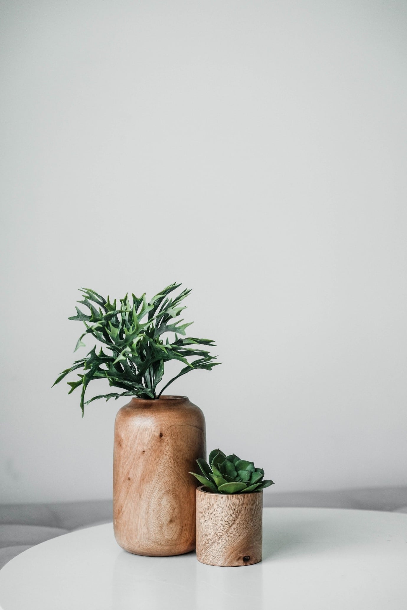 succulent-garden-timber-containers