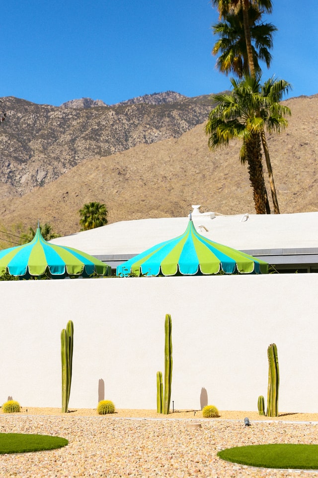 desert style pool landscaping
