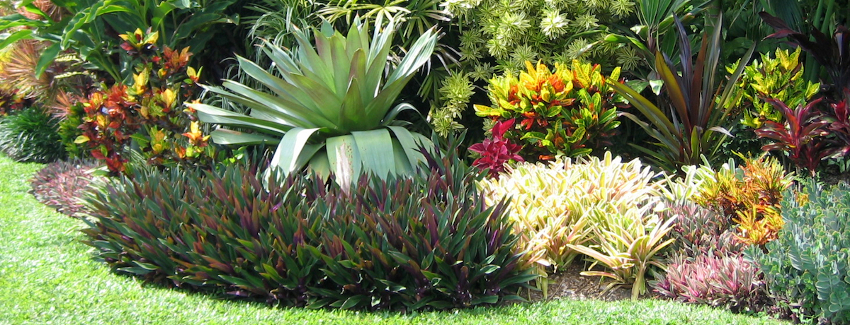 35 Tropical Garden Design Airtasker Blog