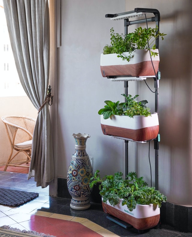 vertical-herb-garden-container