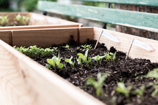 raised-garden-bed-herb-garden