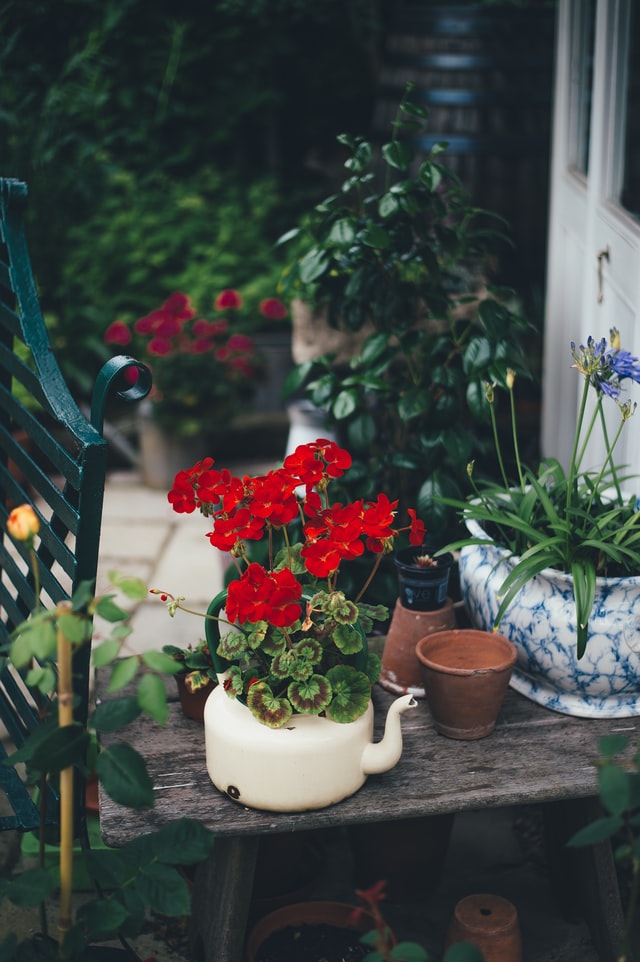 English-garden-teapots