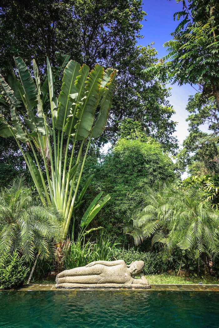 Pool with statue