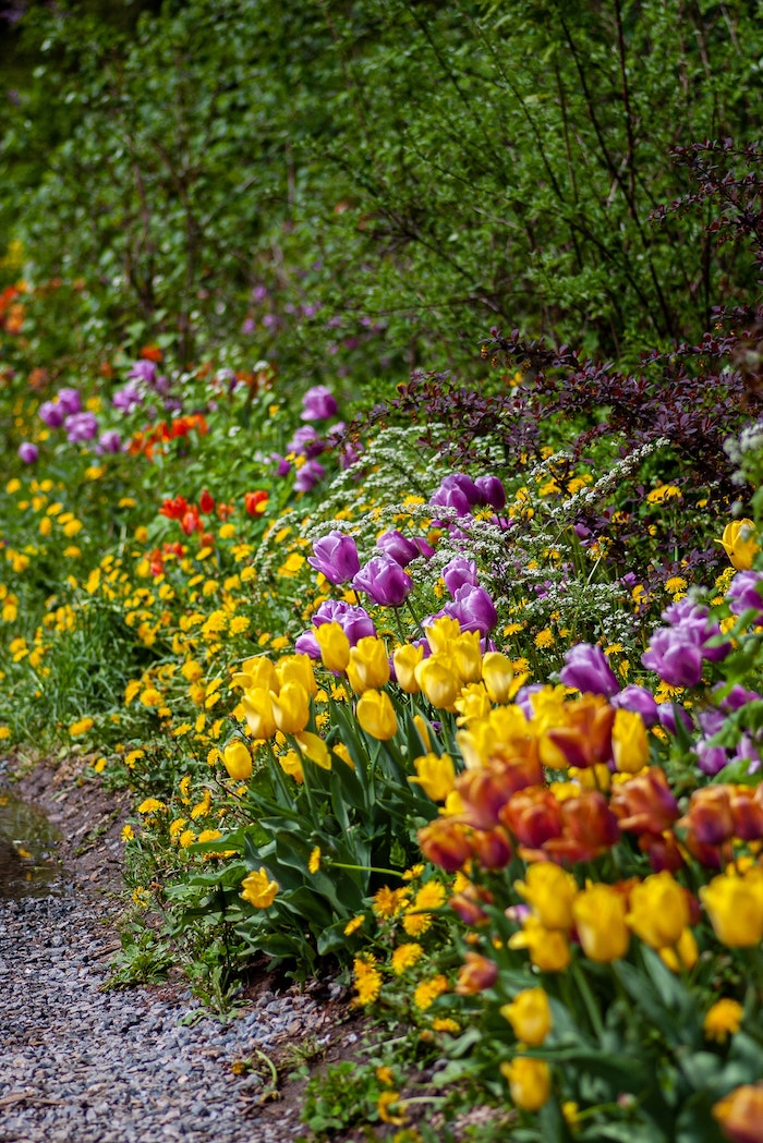 bright flowers