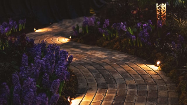 garden-path-lights
