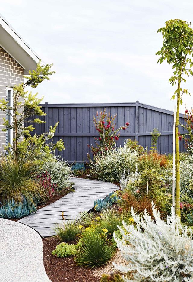 Native Front Garden Ideas Image To U native-front-garden-ideas-image-to-u
