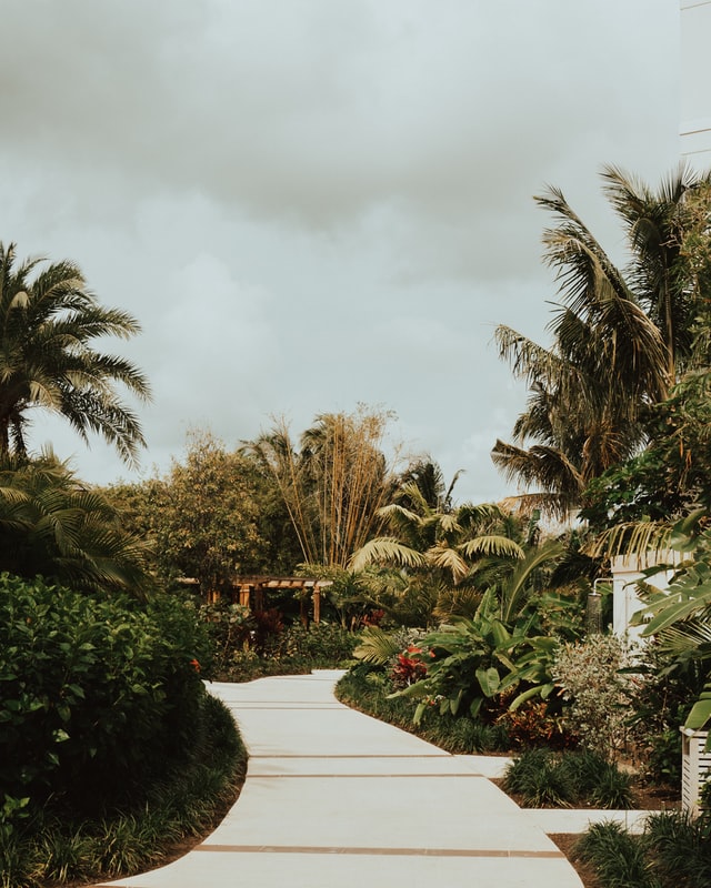 contemporary-garden-path