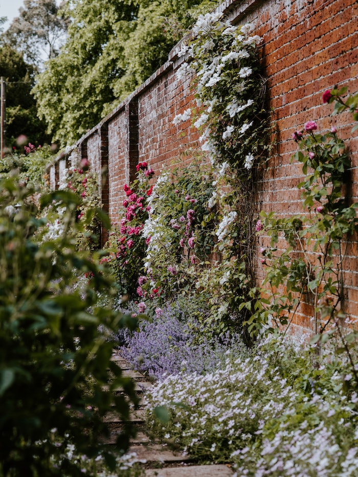 english garden wall