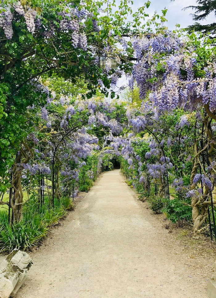 english garden archway flowers